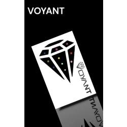 Voyant Renkli Asorti Set Diş Pırlantası 10 lu Paket