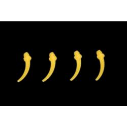 Intra Oral Tips