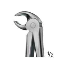 Alt Molar Davye