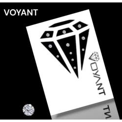 Voyant Kristal Model Asorti Set Diş Pırlantası 10lu Paket